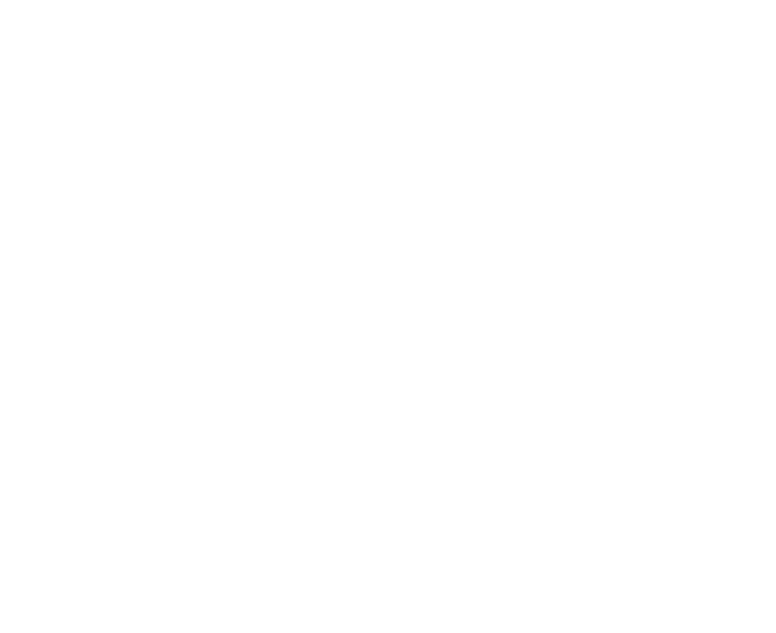 Social, Humanitarian and Cultural Committee emblem